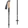 Flash Sale ⭐ Black Diamond Trekking Poles Alpine FLZ Trekking Poles 🔔