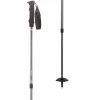 Cheap 👍 ALPS Mountaineering Trekking Poles Explorer Trekking Pole 🎉