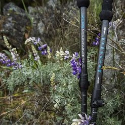 Coupon ⭐ ALPS Mountaineering Trekking Poles Momentum Trekking Poles 😍 -Deals Hiking & Camping Essentials Store CHALIGGRE D5