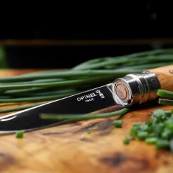 Buy 🔔 Opinel Knives & Multi-tools No 10 Slim Olive + Alpine Sheath Knife with Gift Box 🔥 -Deals Hiking & Camping Essentials Store OLI D8