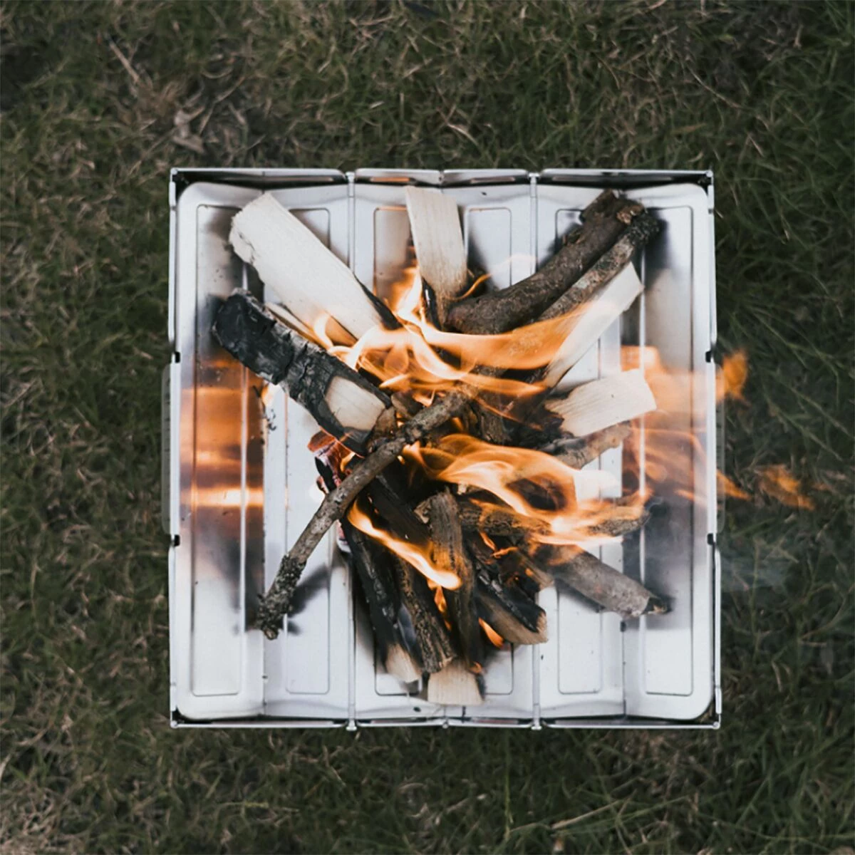 Best reviews of ⭐ Wolf and Grizzly Books, Maps & Games Fire Safe 🔥 6 Best reviews of ⭐ Wolf and Grizzly Books, Maps & Games Fire Safe 🔥 - Image 6