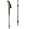 Flash Sale 🔔 Black Diamond Trekking Poles Trail Ergo Cork Trekking Poles 💯